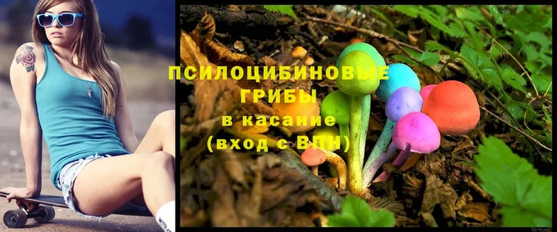 нарко площадка как зайти  Нестеровская  Галлюциногенные грибы MAGIC MUSHROOMS  МЕГА как зайти 